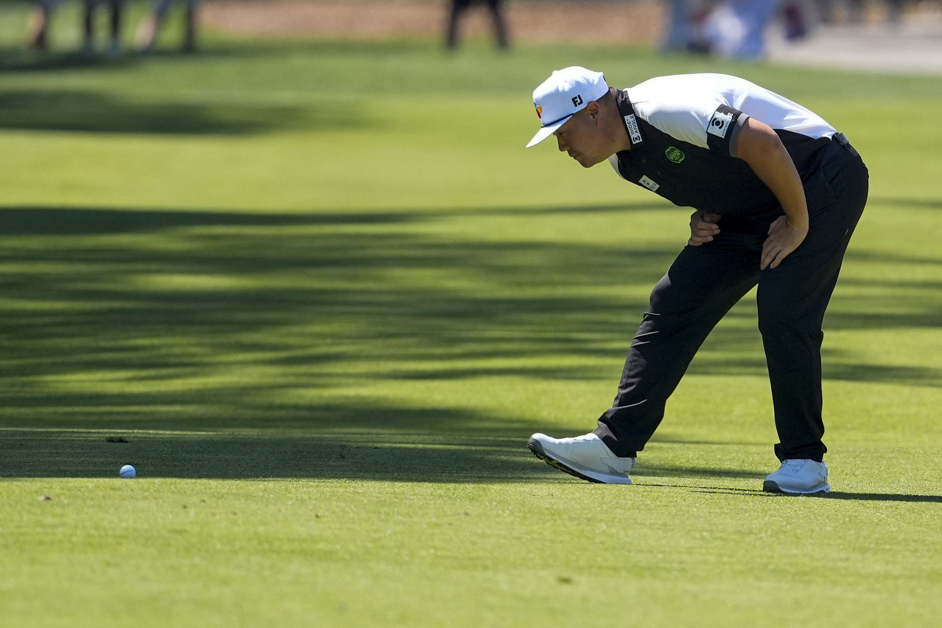 Jim Dedmon / Bildbyrån