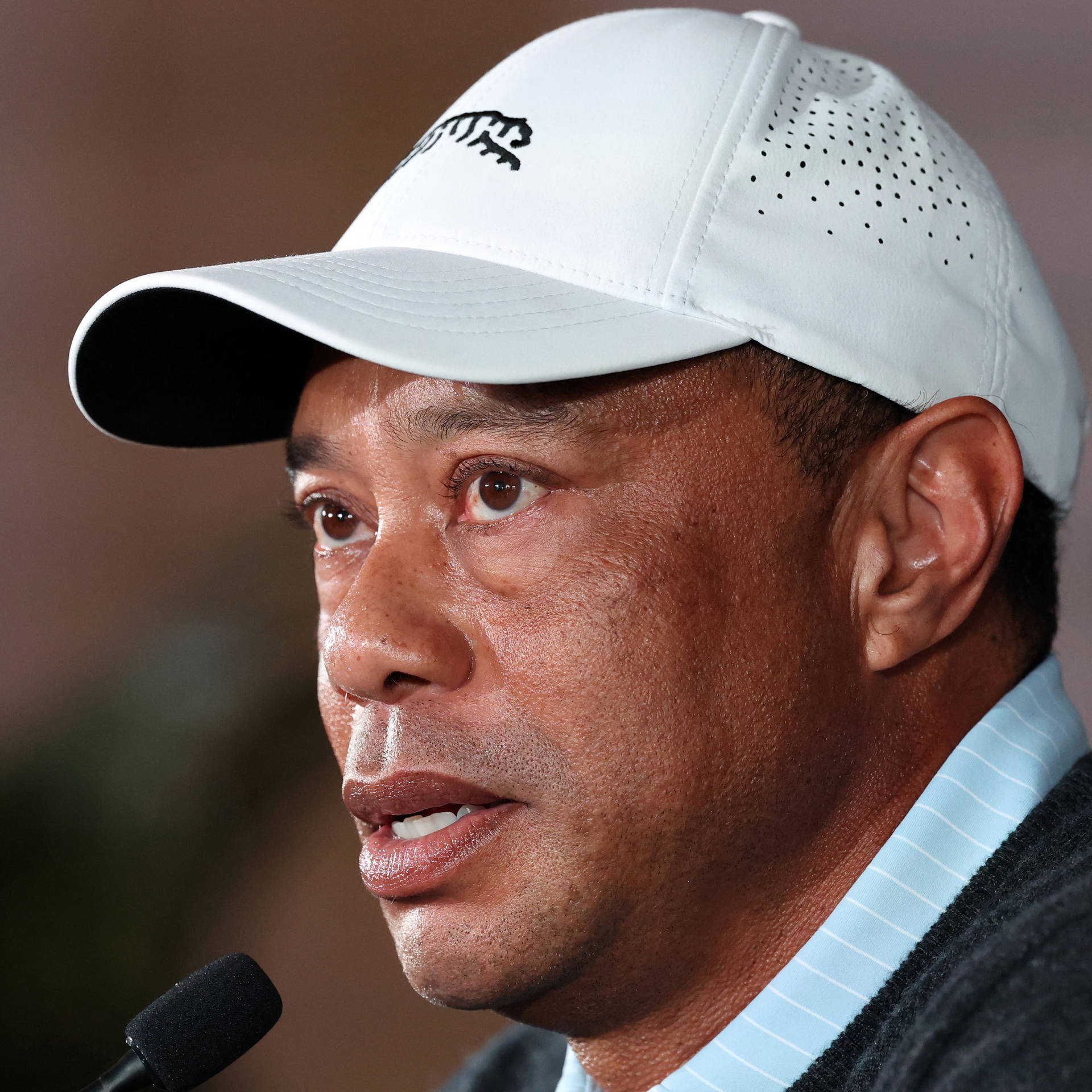 Tiger Woods will stand infront of the jury. Photo: Bildbyrån